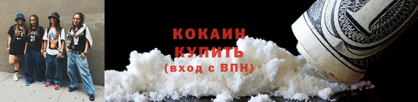 твердый Гвардейск