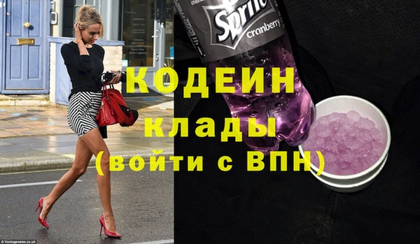 твердый Гвардейск