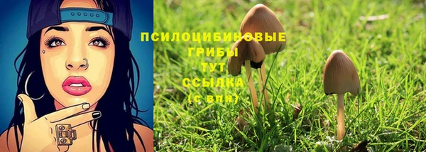 твердый Гвардейск