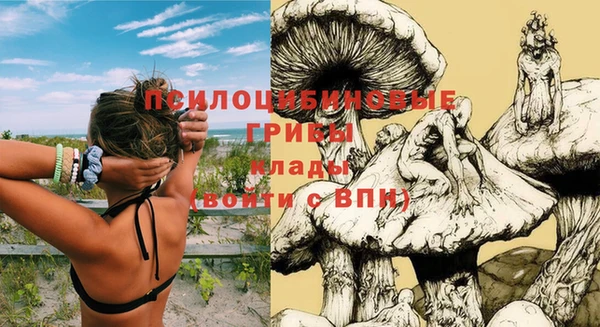 а пвп мука Вуктыл