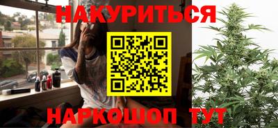 прущие грибы Гатчина
