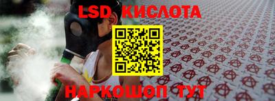 прущие крисы Камышлов