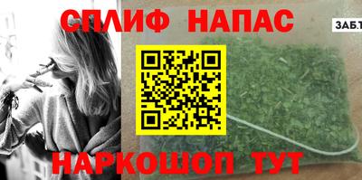 прущие грибы Гатчина