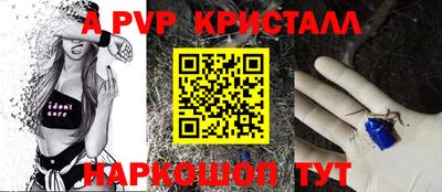 прущие грибы Гатчина