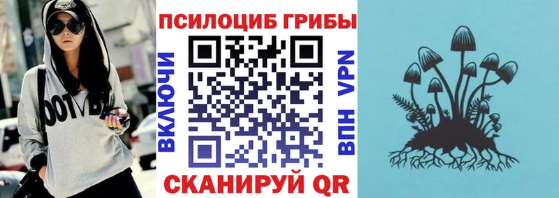 купить наркотик  Кольчугино  маркетплейс как зайти  Галлюциногенные грибы мухоморы 
