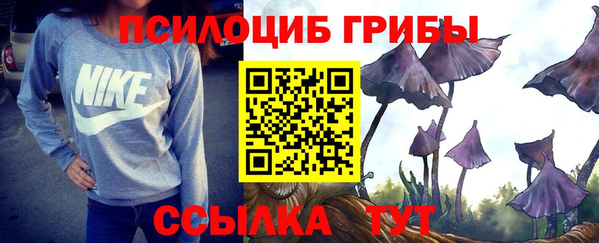 Галлюциногенные грибы мицелий Кольчугино