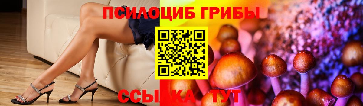 Кольчугино  Псилоцибиновые грибы мухоморы  Вход с VPN 